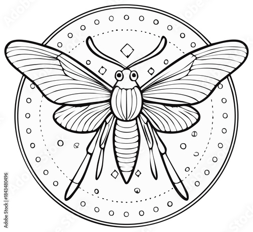 Ornate insect drawing in a circular frame black and white line art for coloring books or design