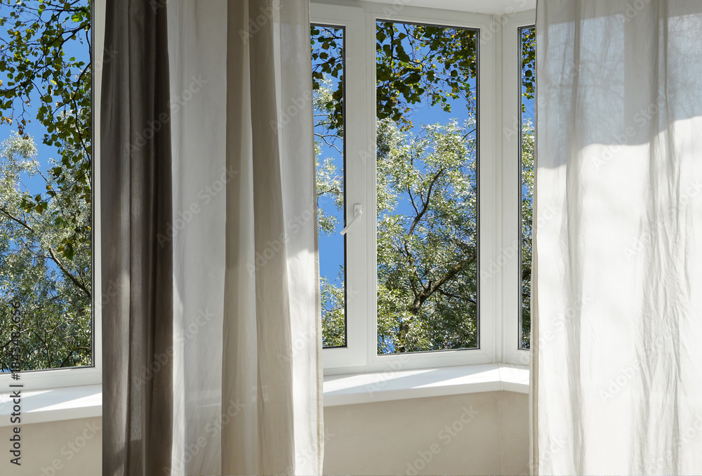 Obraz premium A window overlooking silvery green trees, view from a panoramic window.