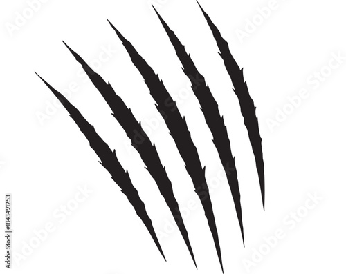 Dramatic claw scratches design element on transparent background silhouette