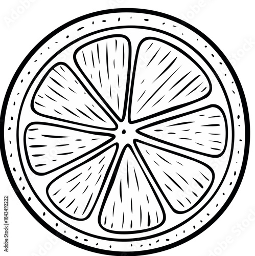 Hand drawn black and white outline illustration of a fresh citrus fruit slice