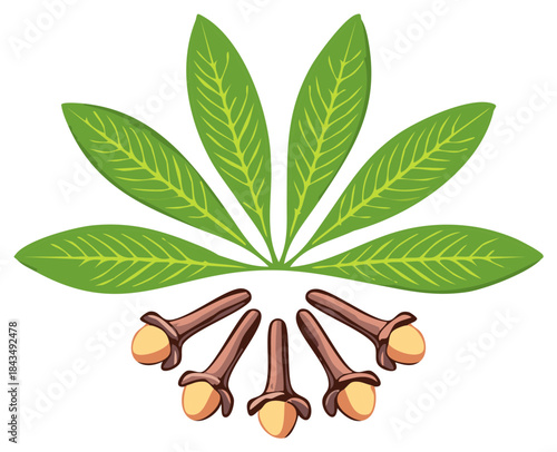 Stylized vector illustration of aromatic clove spice with fresh green leaves in a decorative arrangement