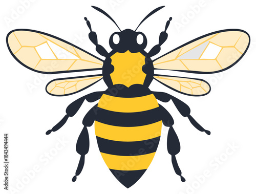 Vivid cartoon illustration of a bumble bee, black and yellow stripes, transparent wings, pollination concept.