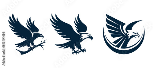 Three eagle illustrations in black and white vector design. Template for design mascot, label, badge, sport team, emblem or other branding. 