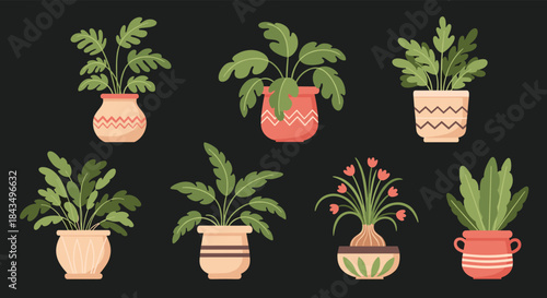 A diverse collection of green potted houseplants and a flowering plant, each in uniquely decorative pots, presented on a dark background in a flat illustration.