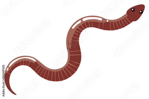 Crawling Cartoon Earthworm Illustration with Segmented Body Structure