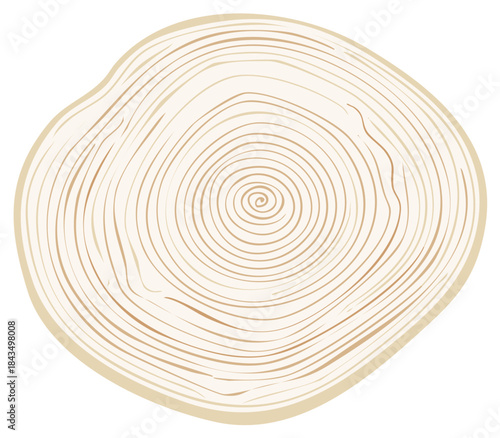 Illustrative Wood Cross Section Revealing Growth Rings for Environmental and Forest Concepts