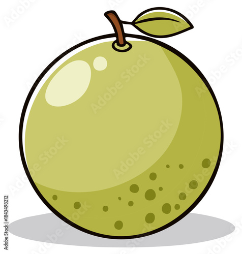 Illustration of a cartoon lime with a stem and leaf, citrus fruit