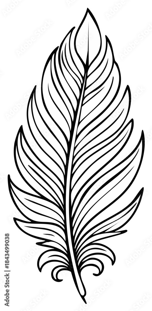 Obraz premium Black and white hand drawn feather illustration, vector graphic element