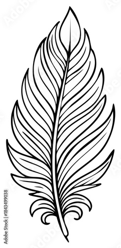 Black and white hand drawn feather illustration, vector graphic element