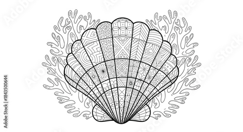 Detailed black and white illustration of an intricate scallop shell with diverse patterns, surrounded by delicate underwater flora, perfect for coloring or ocean-themed designs.