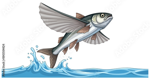 Incredible Flying Fish Leaping from Ocean Water with Wings Spread