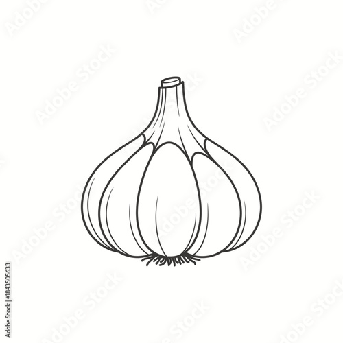 Detailed black and white garlic bulb illustration.