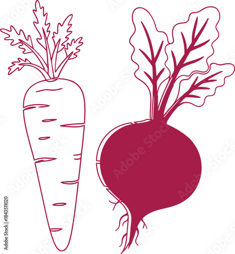 Fresh Carrot and Beetroot