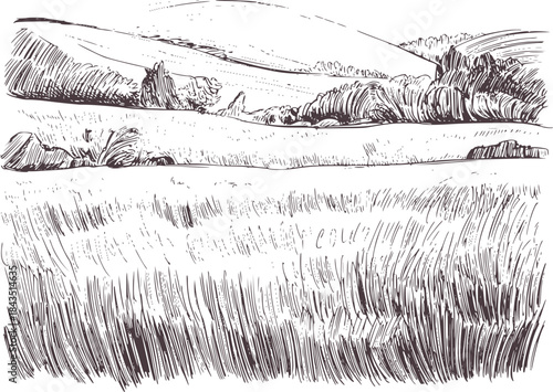 Black and white pencil of rolling agricultural fields with crops