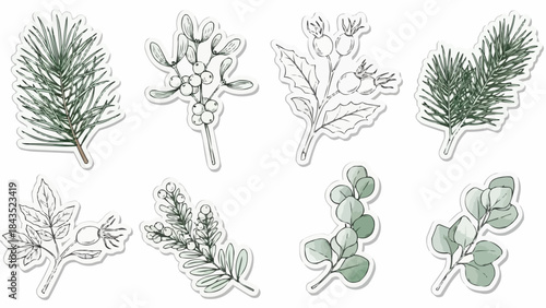 Various green leaves and branches on white background for decoration