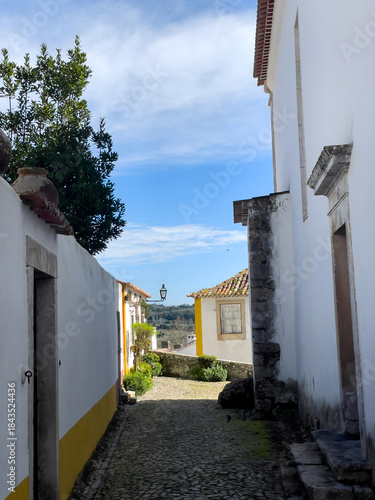 Quiet cobblestone alley between whitewashed houses in Obidos, Portugal
