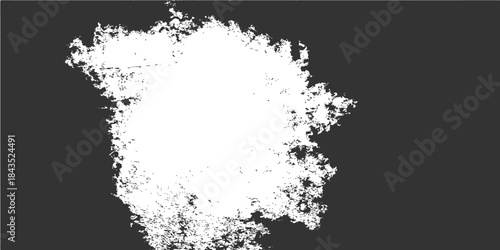 Vintage black and white abstract grunge background featuring a dirty ink splat pattern with a spray paint texture and an artistic floral silhouette border design