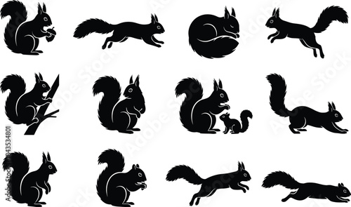 Squirrel silhouettes, animal poses, black vector, wildlife icon, forest creature, nature behavior, motion graphic, posture design, illustration, activity gridSquirrel silhouettes, animal poses