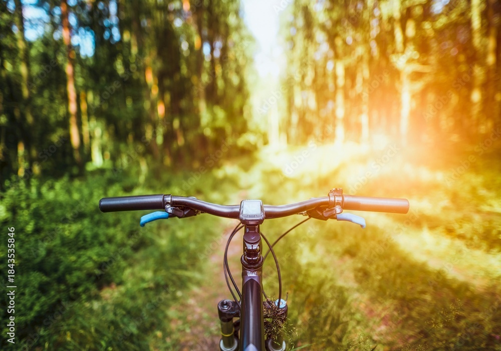 Naklejka premium Bicycle handlebars and GPS in forest