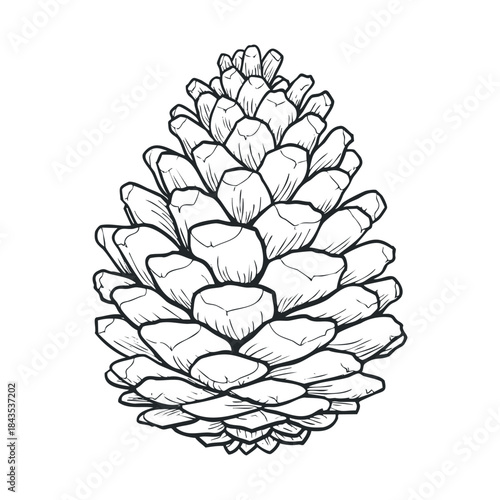 Stylized pine cone black and white linear drawing perfect for seasonal nature crafts, outdoor themed projects, holiday decorations, and educational resources
