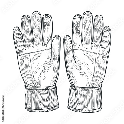 Line drawing of sturdy work gloves suitable for industrial safety, gardening, or outdoor labor applications for print, digital media, and educational resources
