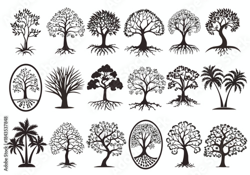 Silent Sentinels Complete Tree Silhouette Collection

Silent Sentinels Complete Tree Silhouette Collection