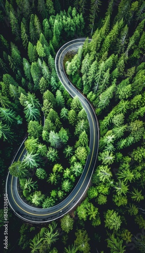 Aerial view of a winding mountain road surrounded by lush green forest for adventure travel