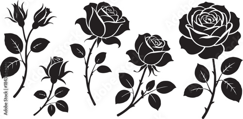 Five rose silhouettes vector set depicting blooming flowers and buds with stems, isolated for botanical themes.