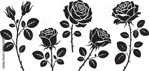 Five black rose vector silhouettes with stems and leaves isolated on transparent background