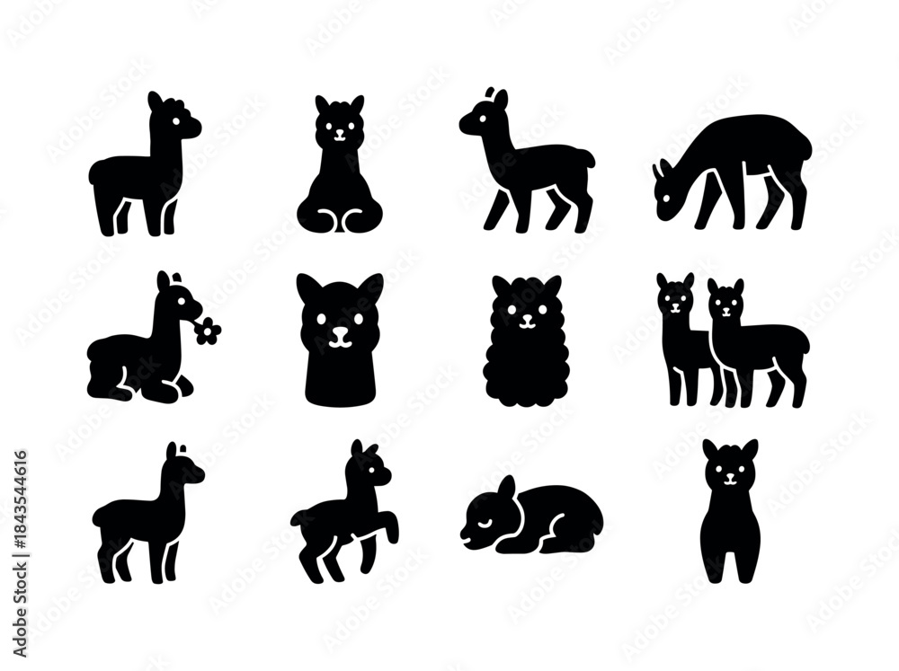 Obraz premium Baby Alpaca Icons. Baby alpacas. Solid icon set of baby alpacas: