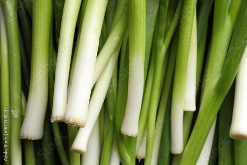 Εκτύπωση καμβά Many fresh green onions as background, top view