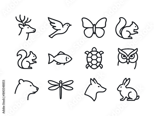Abstract Wildlife Icons. Wildlife beauty. Line icon set of Wildl