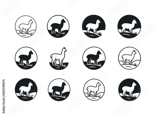 Alpaca Logo Set. Alpacas grazing. Icon set. Set Logo of alpacas