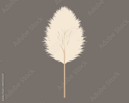 Fluffy pampas grass plume isolated on dark background