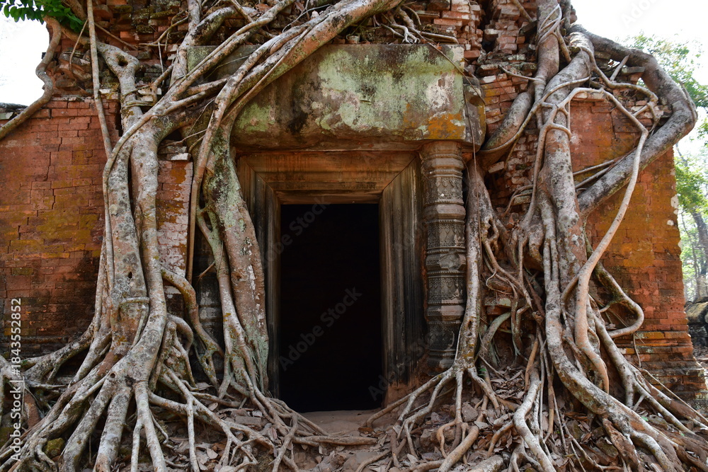 Obraz premium カンボジア シェムリアップ遺跡群 コー・ケー