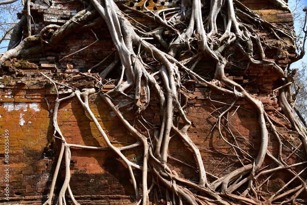 Obraz premium カンボジア シェムリアップ遺跡群 コー・ケー