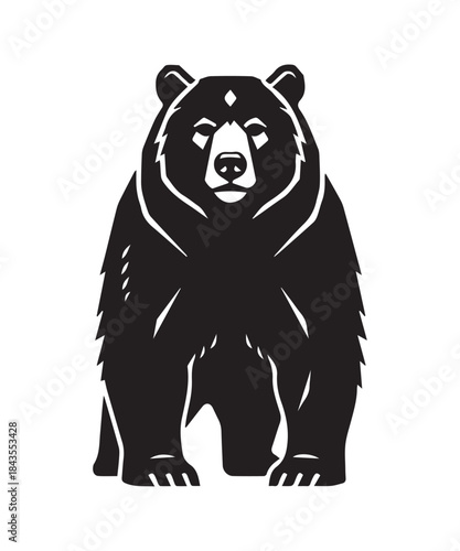 Brown bear vector illustration isolated on white background