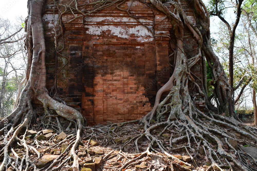 Obraz premium カンボジア シェムリアップ遺跡群 コー・ケー