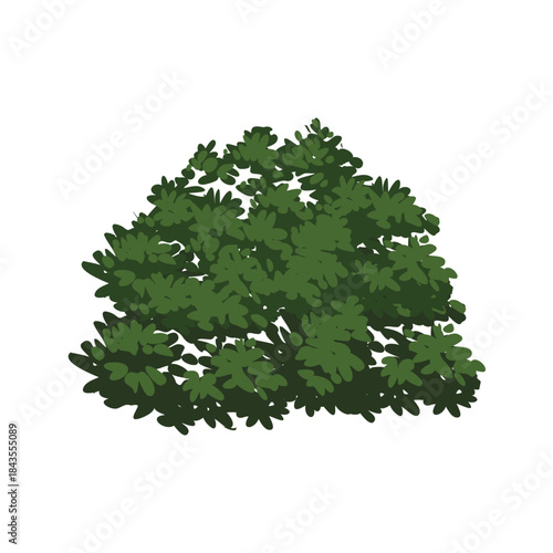 Bush vector, bush clipart