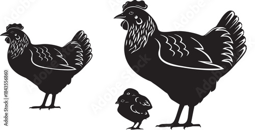Black and white illustration of a hen with chicks simple farm animal drawing