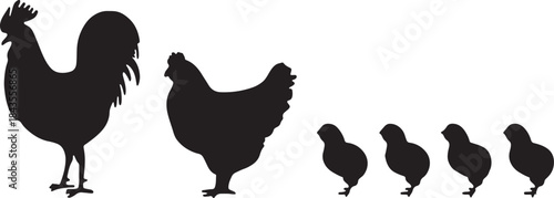 A silhouette of a rooster leading a hen and their small chicks