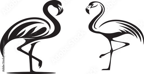 Elegant black and white illustration of two flamingos in a minimalist style