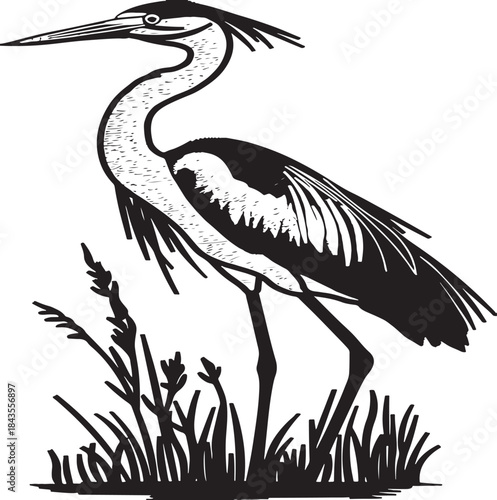 A striking black and white illustration of a heron standing in the reeds