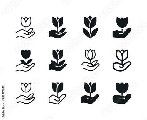 Flower Logo Variations. Greet with flowers. Icon set. Set Logo o