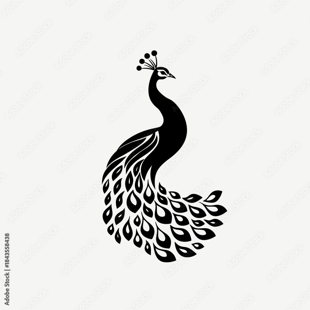Fototapeta premium Elegant black peacock illustration on white background vector art