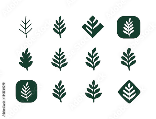 Nature Vibe Logos. Nature vibe package design with flowers and p