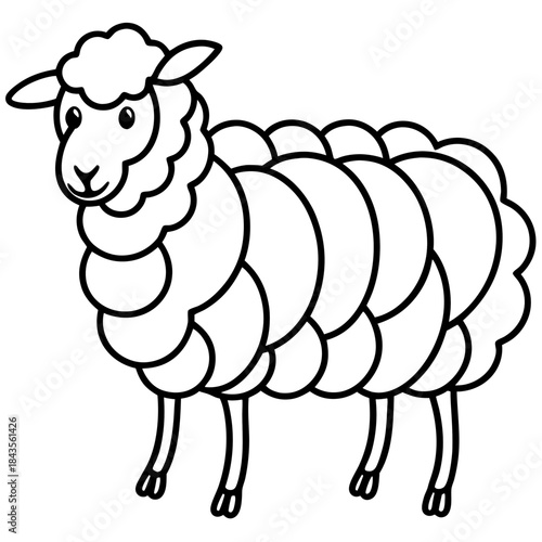 Woolly line art vector
