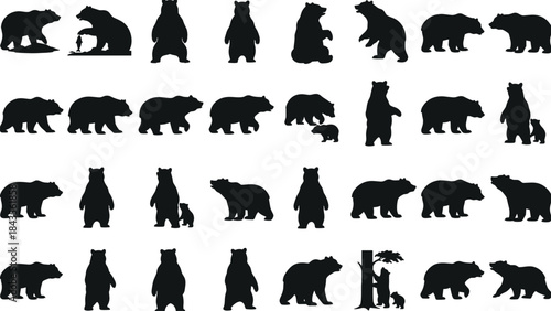 Silhouettes of Various North American Bears in Different Poses including Standing, Walking, and Sitting, Featuring Adult Grizzlies, Black Bears, and Cubs in High-Resolution Vector Format