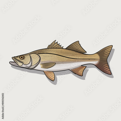 A beautifully detailed illustration of a bass fish swimming, highlighting the beauty and intricacies of aquatic life in a realistic artistic style.