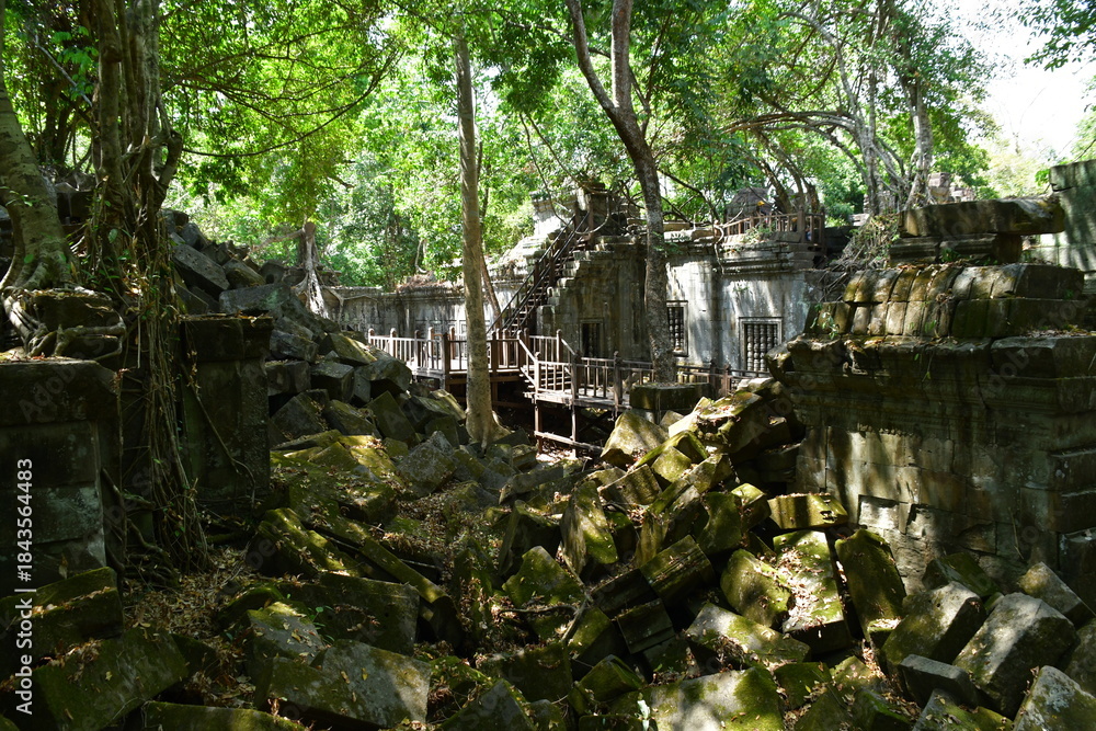 Fototapeta premium カンボジア シェムリアップ遺跡群 ベン・メリア